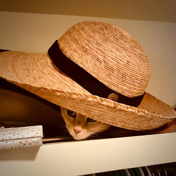 /Images/uploads/The Santa Fe New Mexican/santafepetcontest/entries/34016thumb.jpg